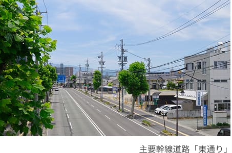 主要幹線道路「東通り」